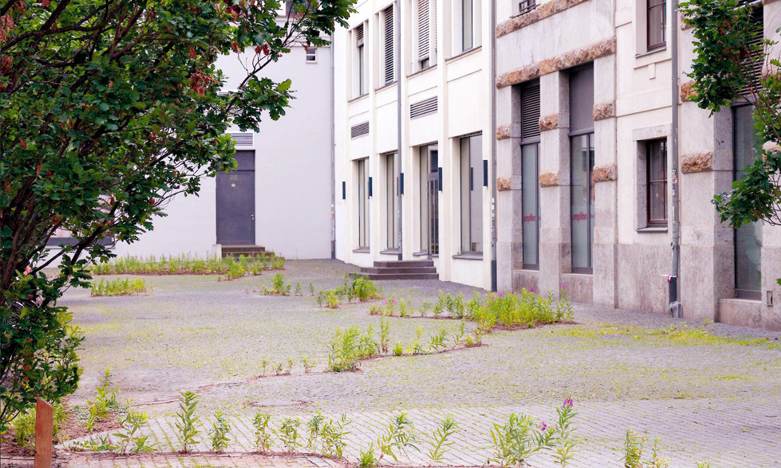 Employer Gardening _ Brachflächen vorher